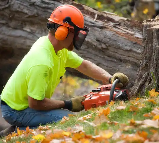 tree services Hemby Bridge